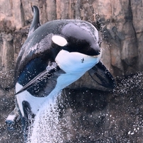 水族館の生き物たち