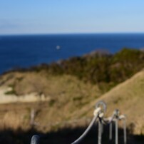 TAMRON(タムロン)のレンズ AF 28-300mm F3.5-6.3 XR Di LD