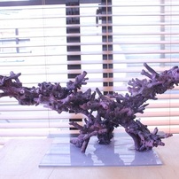 作品YY