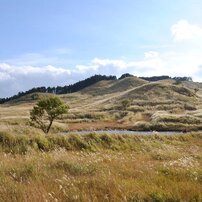 砥峰高原　　　　　　　～ノルウェイの森～