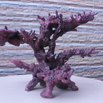 作品AM