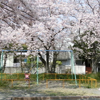 【作例あり】CASIO EXILIM EX-ZR850 EX-ZR850 | HIGH SPEED | Digital Cameras | CASIO