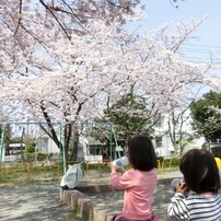 【作例あり】CASIO EXILIM EX-ZR850 EX-ZR850 | HIGH SPEED | Digital Cameras | CASIO