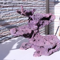 作品AJ