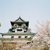 MAMIYA(マミヤ)のフィルムカメラ35 Ruby で撮影した写真(画像)一覧