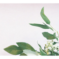 2011 Calendar 「tsumugi」