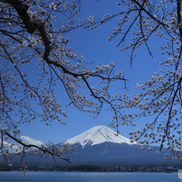 4月の青空に