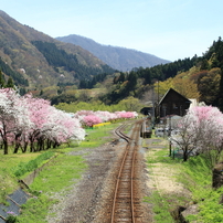 この場所で