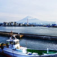 令和の朝　～田子の浦～