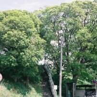 KONICA(コニカ)のフィルムカメラII B で撮影した写真(画像)一覧- 写真