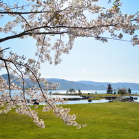 2019春　from北海道