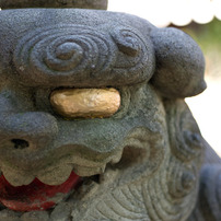 2010-11-03 白山神社