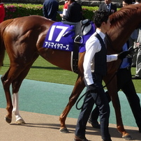 競馬写真館～PHOTOHITO版～(2)