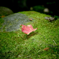 IMGP0189
