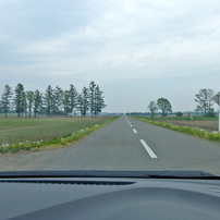 PANASONIC(パナソニック)のデジタルカメラLUMIX DMC-TZ35 で撮影した