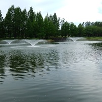 深緑の彩の森入間公園