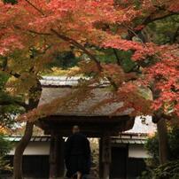 お坊様と紅葉