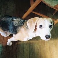 OLYMPUS(オリンパス)のフィルムカメラAF-10 SUPER で撮影した写真(画像