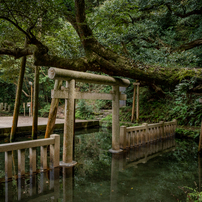 神社と寺