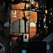 NIKON(ニコン)のデジタルカメラCOOLPIX S8100 で撮影した写真