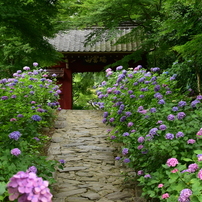 瑞雲山、この門の先には