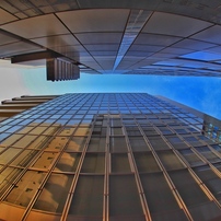 SAMYANG(サムヤン)のレンズ 12mm T3.1 VDSLR ED AS NCS Fish-eye