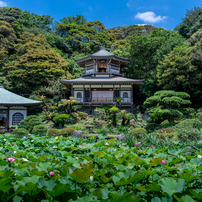 CANON(キヤノン)のレンズ EF28mm F2.8 IS USM で撮影した写真(画像
