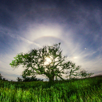 SAMYANG(サムヤン)のレンズ 8mm F3.5 UMC FISH-EYE CS II