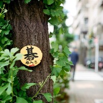 OTHERS(その他)のデジタルカメラPENTACON six TL で撮影した写真(画像