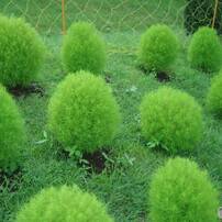 TOKINA(トキナー)のレンズ EMZ 280AF II (ﾍﾟﾝﾀｯｸｽ用) で撮影した写真