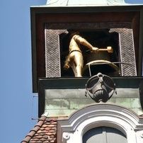 Panasonic LUMIX DMC-TZ3 デジタルカメラ 作例あり Amazon | パナソニック デジタルカメラ LUMIX (ルミックス) DMC-TZ3