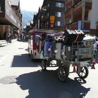 PANASONIC(パナソニック)のデジタルカメラLUMIX DMC-TZ3 で撮影した