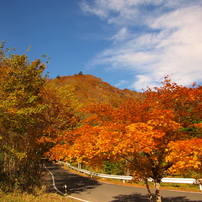 梅が島阿部峠紅葉ドライブ