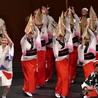 高円寺阿波おどり①