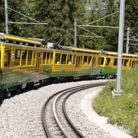 PANASONIC(パナソニック)のデジタルカメラLUMIX DMC-TZ3 で撮影した