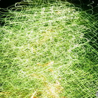 OLYMPUS(オリンパス)のデジタルカメラOLYMPUS STYLUS SP-820UZ で撮影