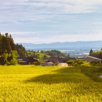 KYOCERA(京セラ)のレンズ Carl Zeiss Distagon T* 18mm F4 (MM) で撮影
