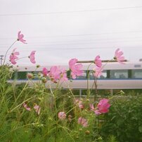 OLYMPUS(オリンパス)のフィルムカメラμ[mju:] PANORAMA で撮影した写真