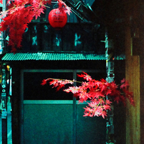 RICOH(リコー)のフィルムカメラリコー エルニカ F で撮影した写真(画像