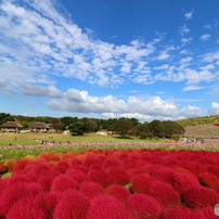 ひたち海浜公園