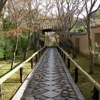 SANYO(サンヨー)のデジタルカメラE6 で撮影した写真(画像)一覧