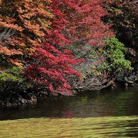 秋は来ぬ