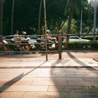 NIKON(ニコン)のフィルムカメラZOOM 310AF で撮影した写真(画像)一覧