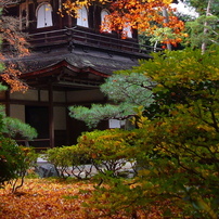 PANASONIC(パナソニック)のデジタルカメラLUMIX DMC-FX01 で撮影した