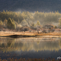 小田代ヶ原の写真(画像)・写真集 - 写真共有サイト:PHOTOHITO