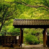 定点カメラ：久良岐能舞台