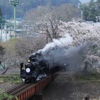 春の汽車ぽっぽ（大井川鐵道紀行）