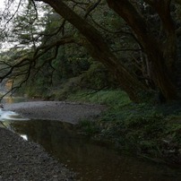 鎌北湖20191110