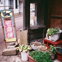OLYMPUS(オリンパス)のフィルムカメラμ[mju:] PANORAMA で撮影した写真