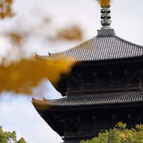 京都の東寺です。